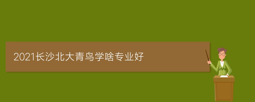 2021长沙北大青鸟学啥专业好