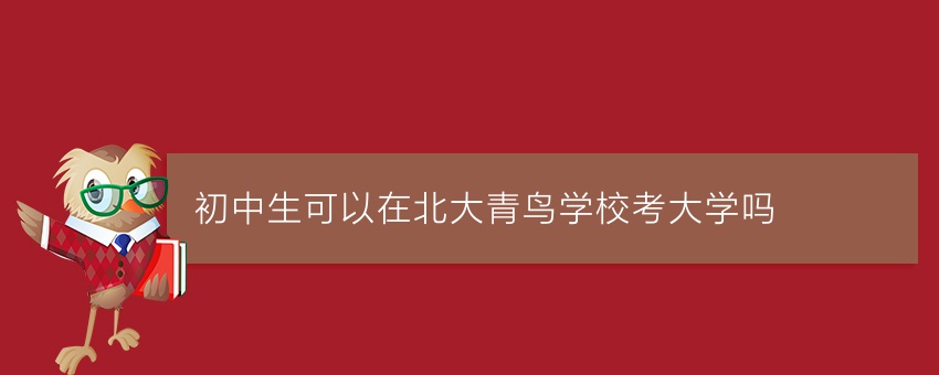 初中生可以在北大青鸟学校考大学吗