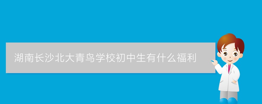 湖南长沙北大青鸟学校初中生有什么福利